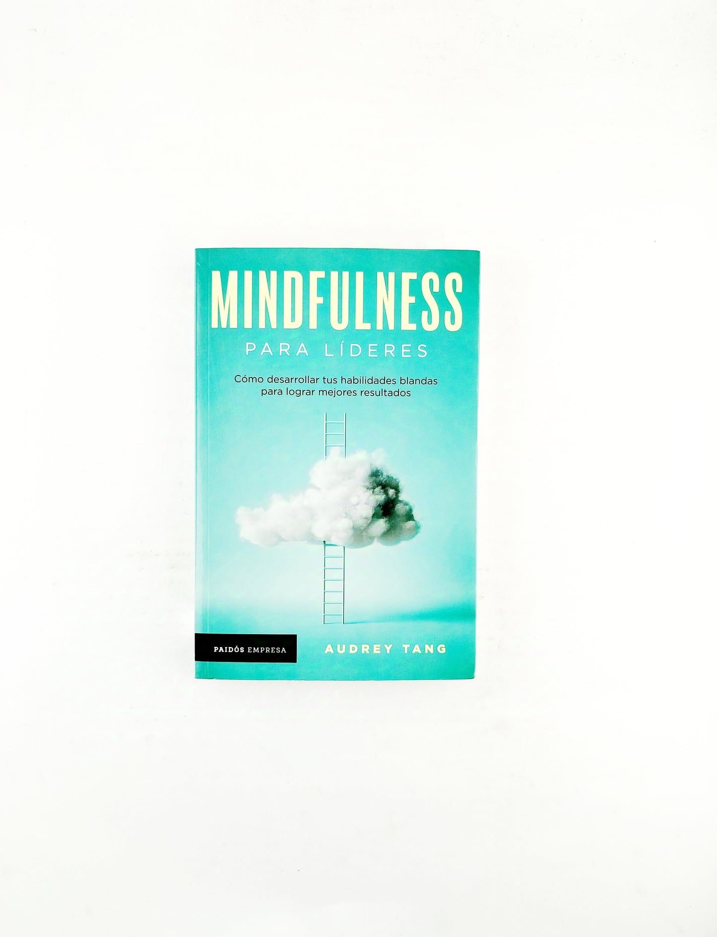 Mindfulness para líderes