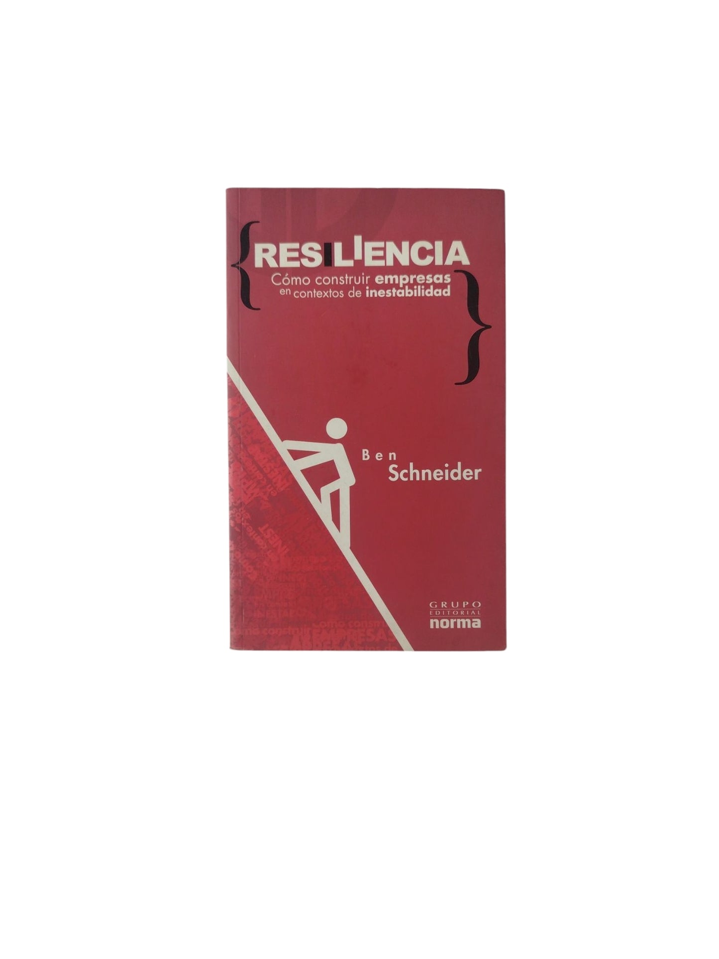 Resiliencia: Cómo construir empresas en contextos de inestabilidad