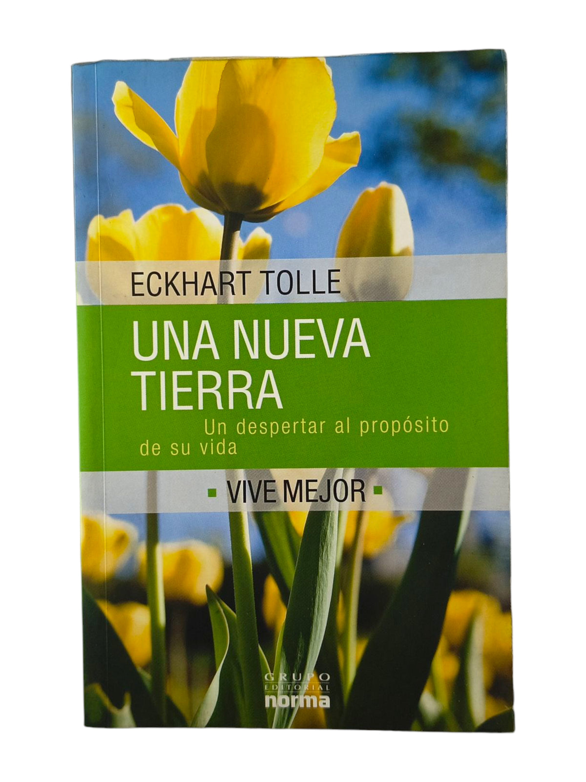 Una nueva Tierra by Eckhart Tolle