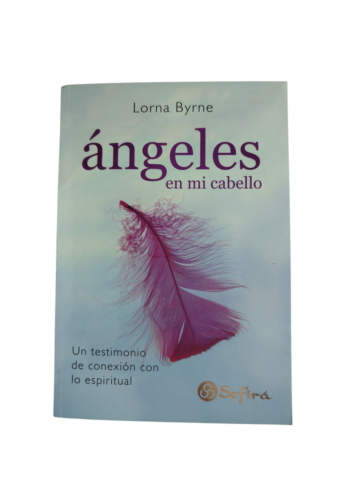 Ángeles en mi cabello by Lorna byrne