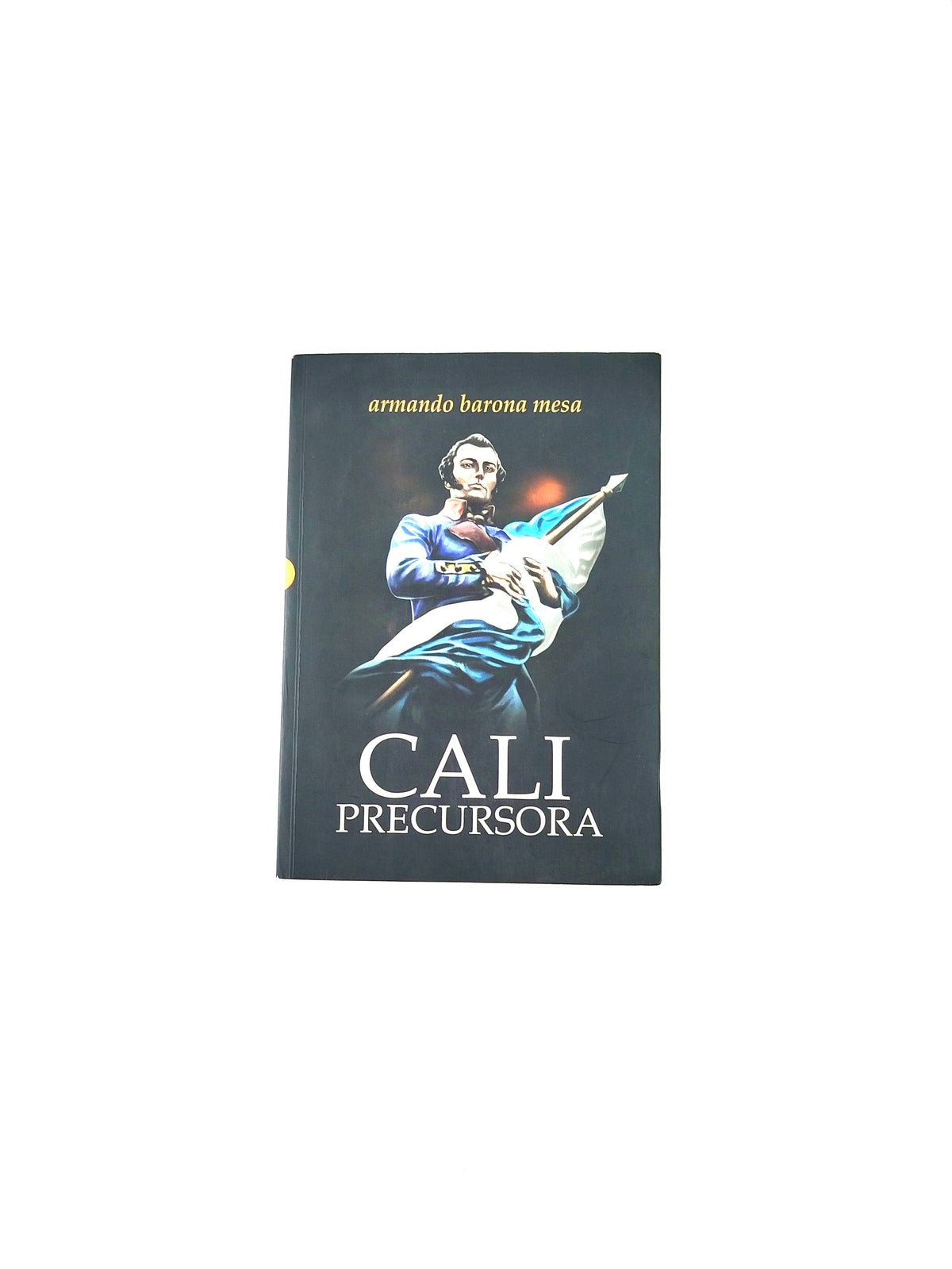 Cali precursora by Armando Barona Mesa
