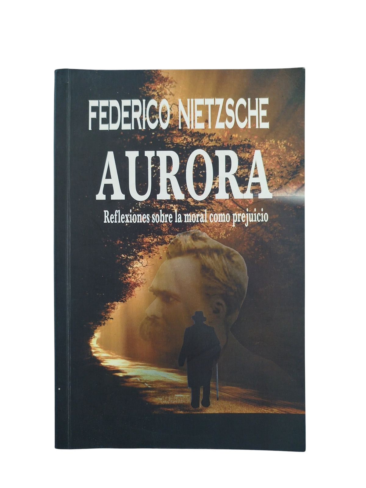 Aurora Reflexiones Sobre La Moral Como Prejuicio by Federico Nietzsche