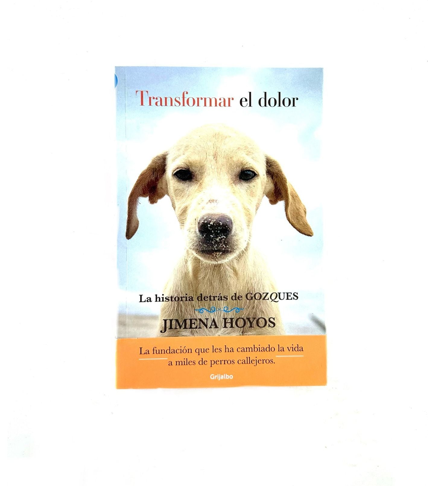 Transformar el dolor