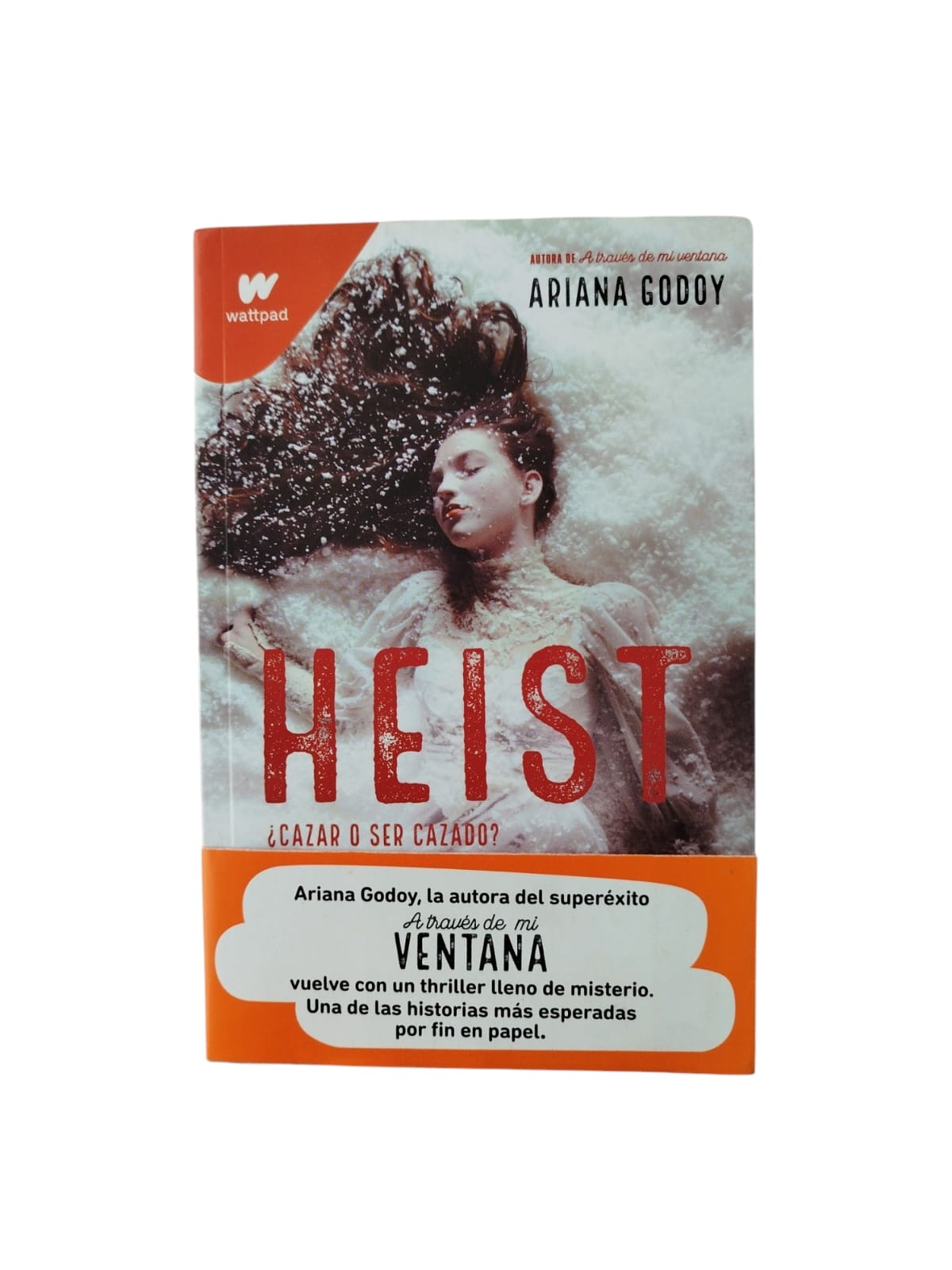 Heist ¿cazar o ser cazado? by Ariana Godoy