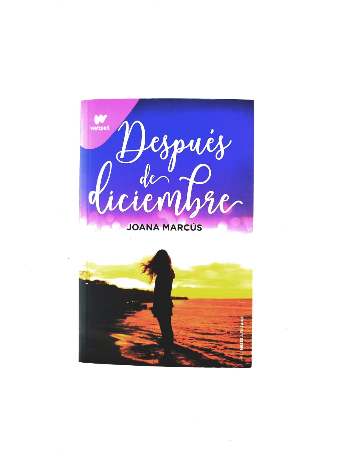 Después de diciembre by Joana Marcús
