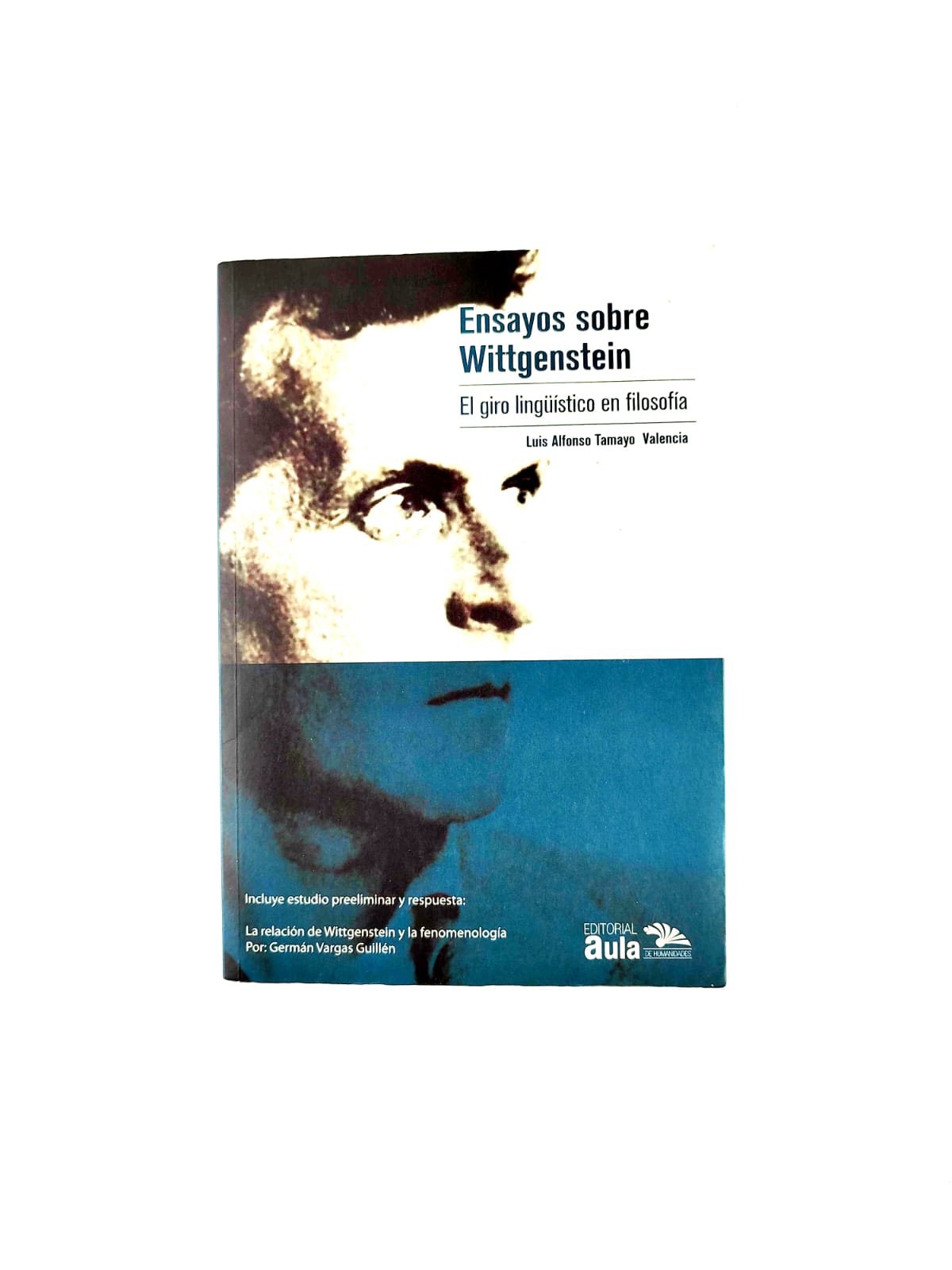 Ensayos sobre Wittgenstein by Luis Alfonso Tamayo