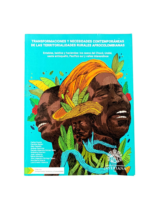 Transformaciones y necesidades contemporáneas de las territorialidades rurales afrocolombianas