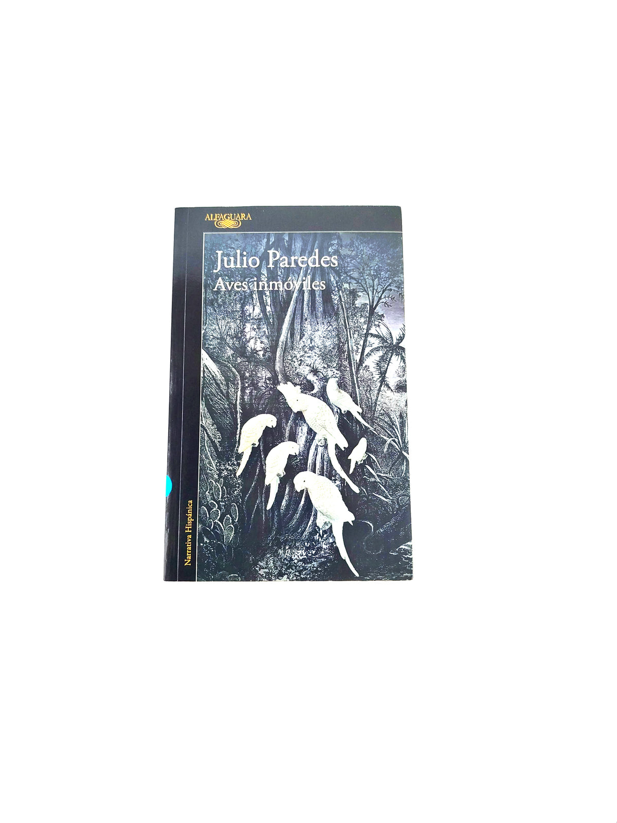 Aves inmóviles by Julio Paredes