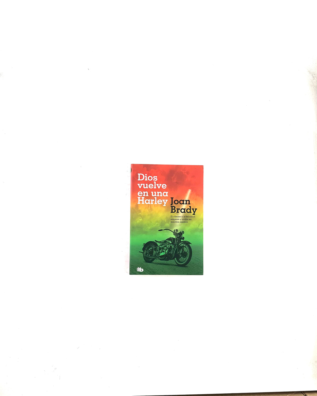 Dios vuelve en una harley by Joan Brady