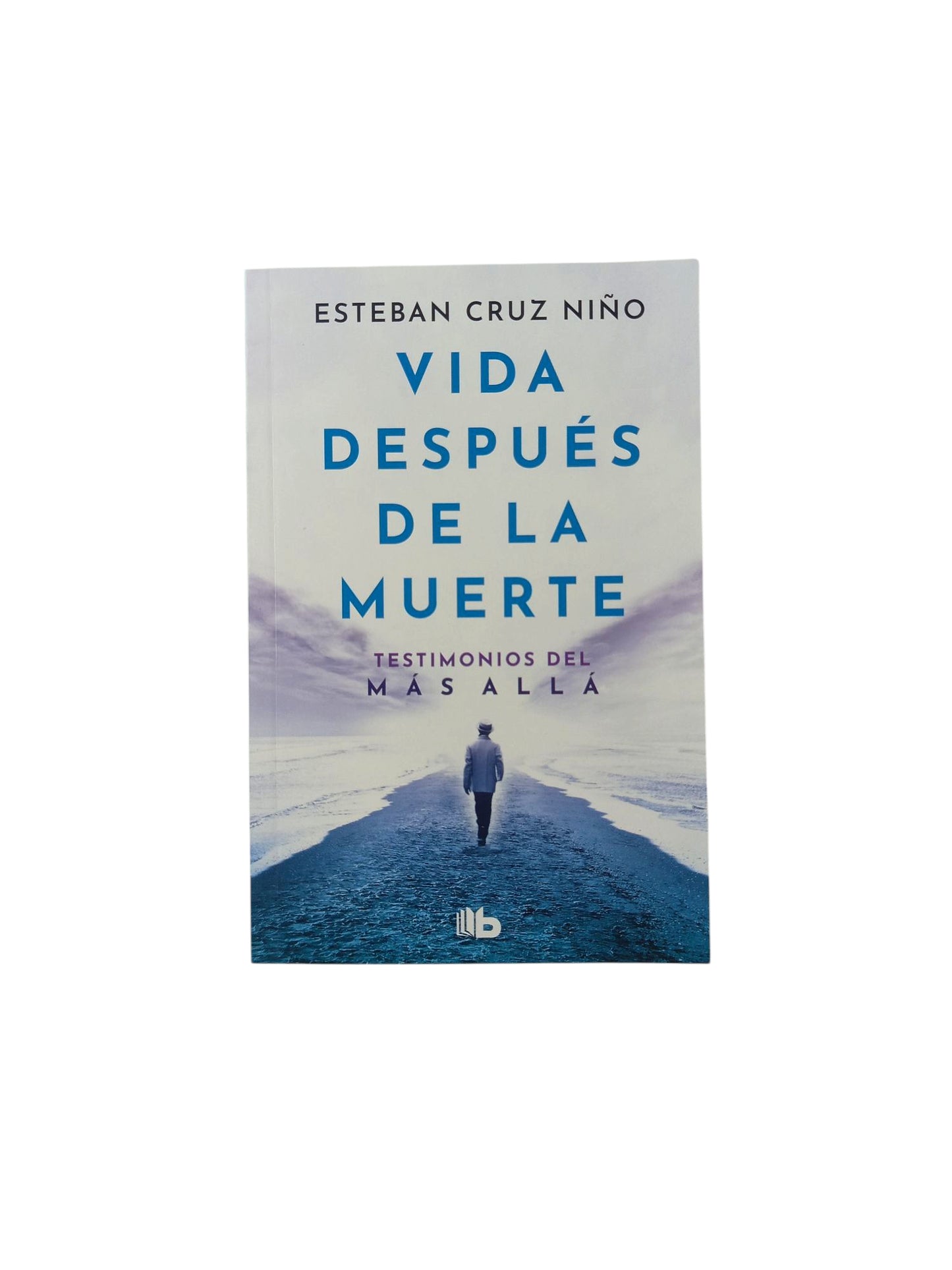 Vida después de la muerte