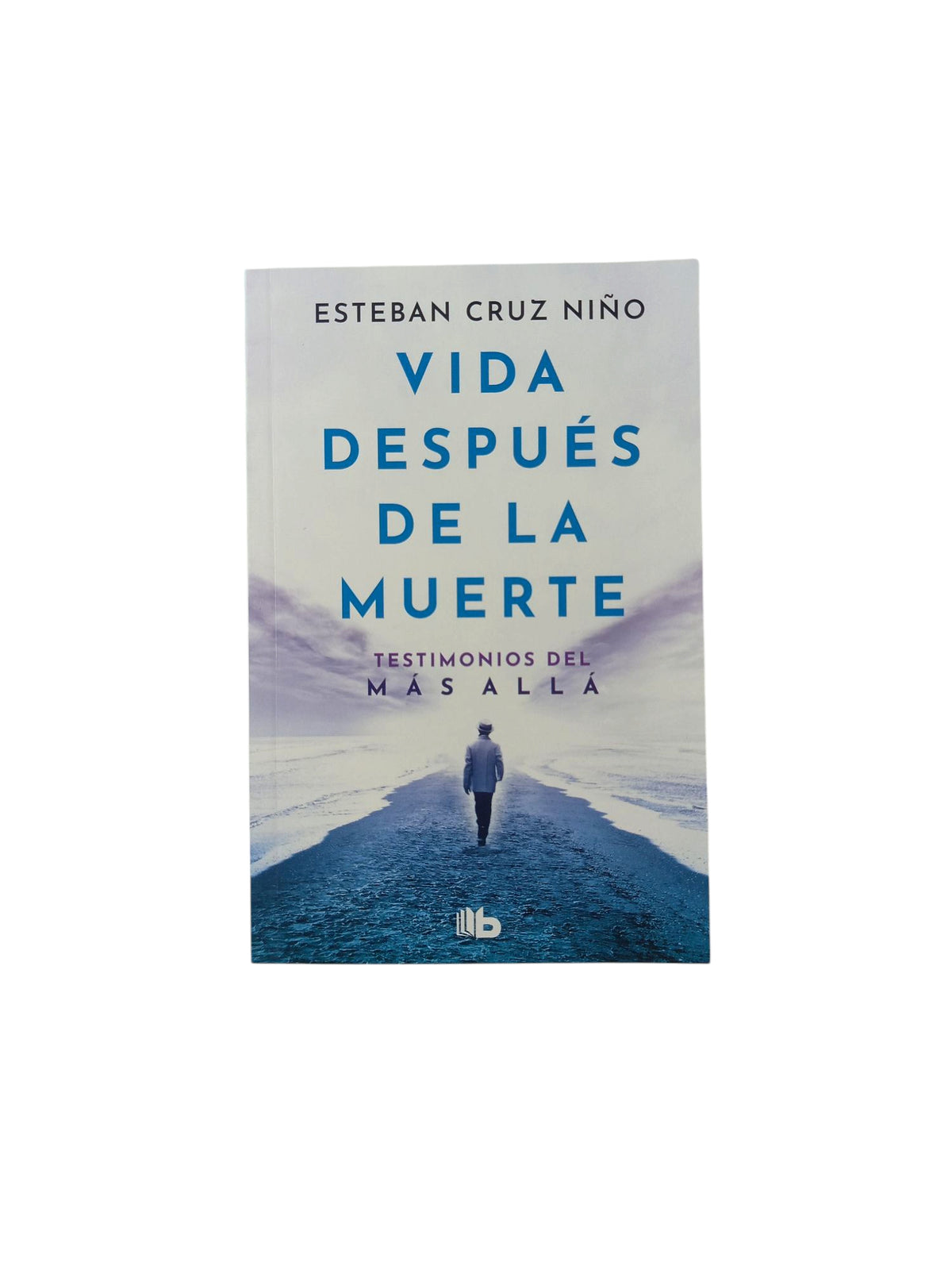 Vida después de la muerte by Esteban Cruz Niño
