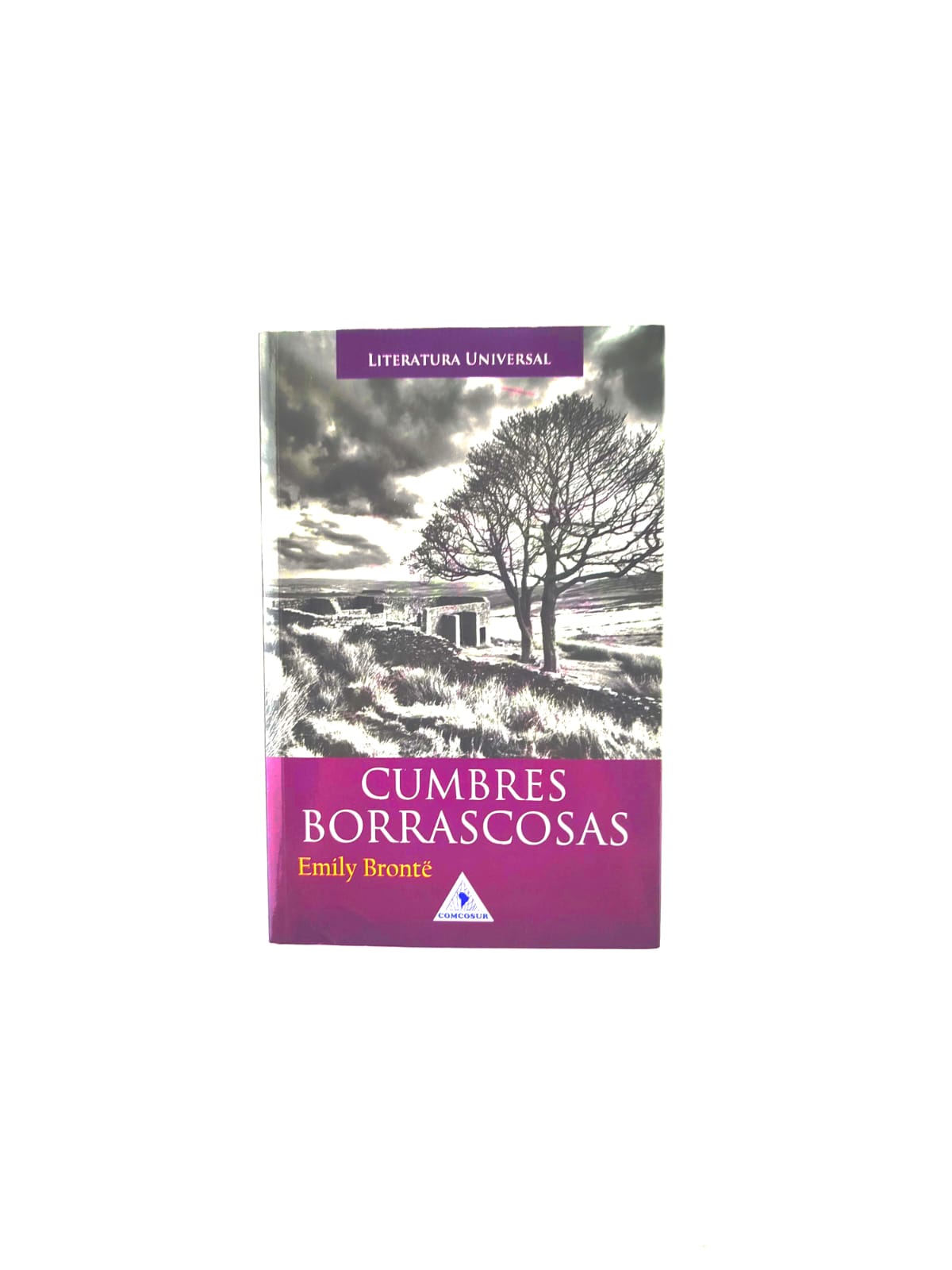 Cumbres borrascosas by Emily Brontë