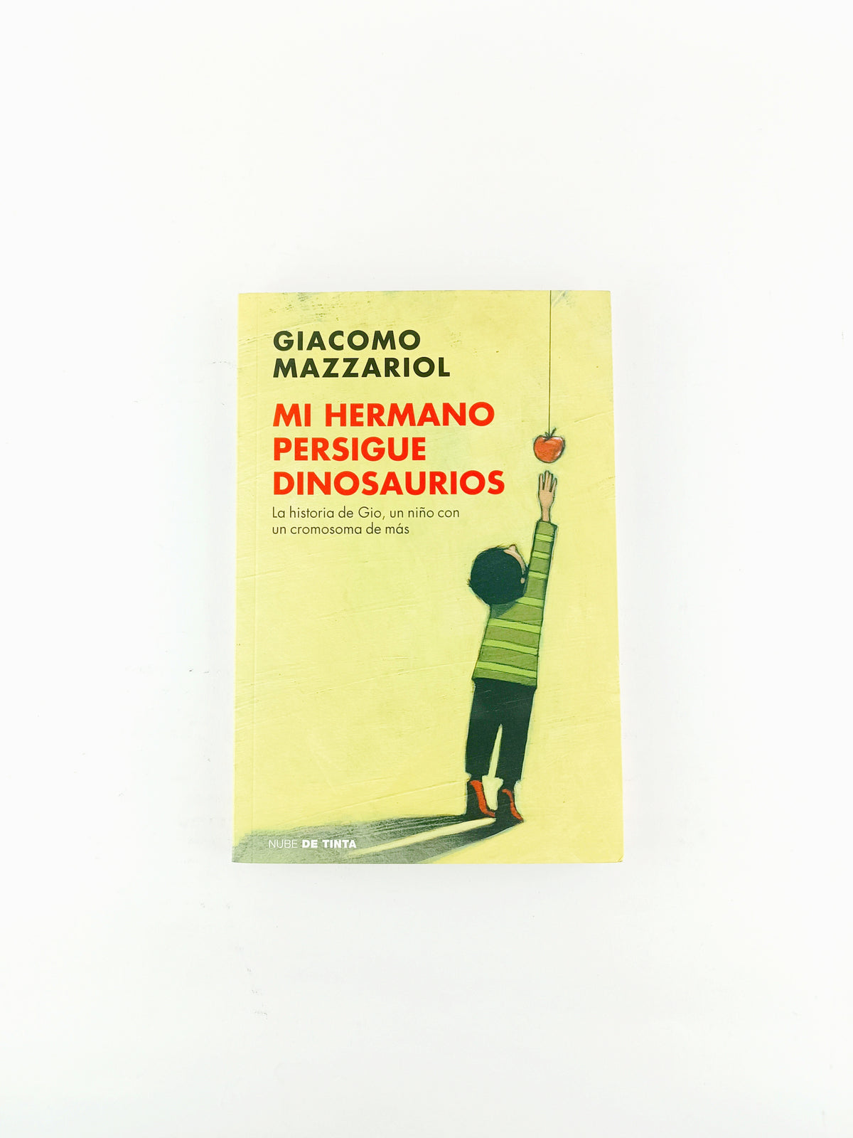 Mi hermano persigue dinosaurios by Giacomo Mazzariol