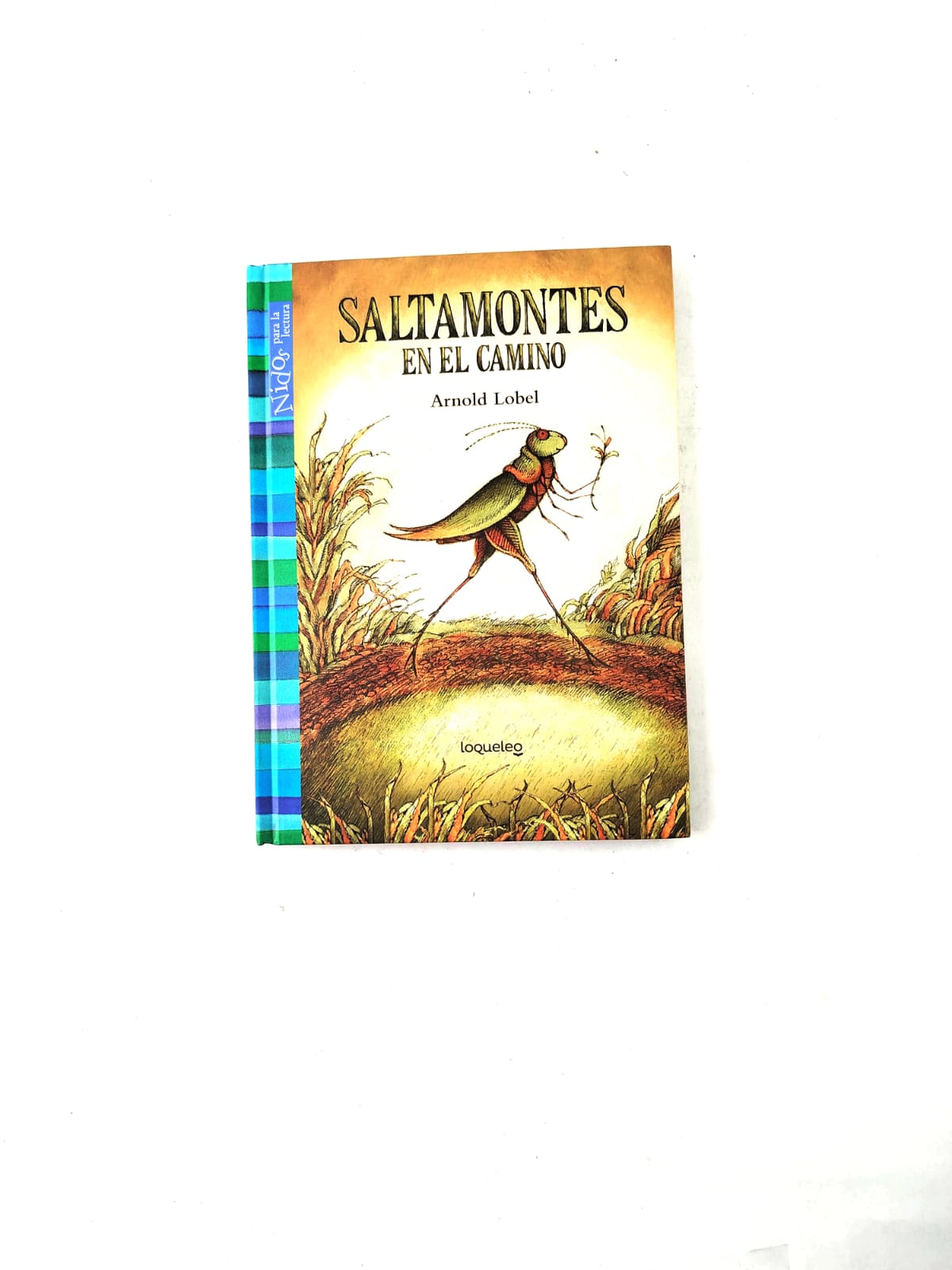 Saltamontes en el camino