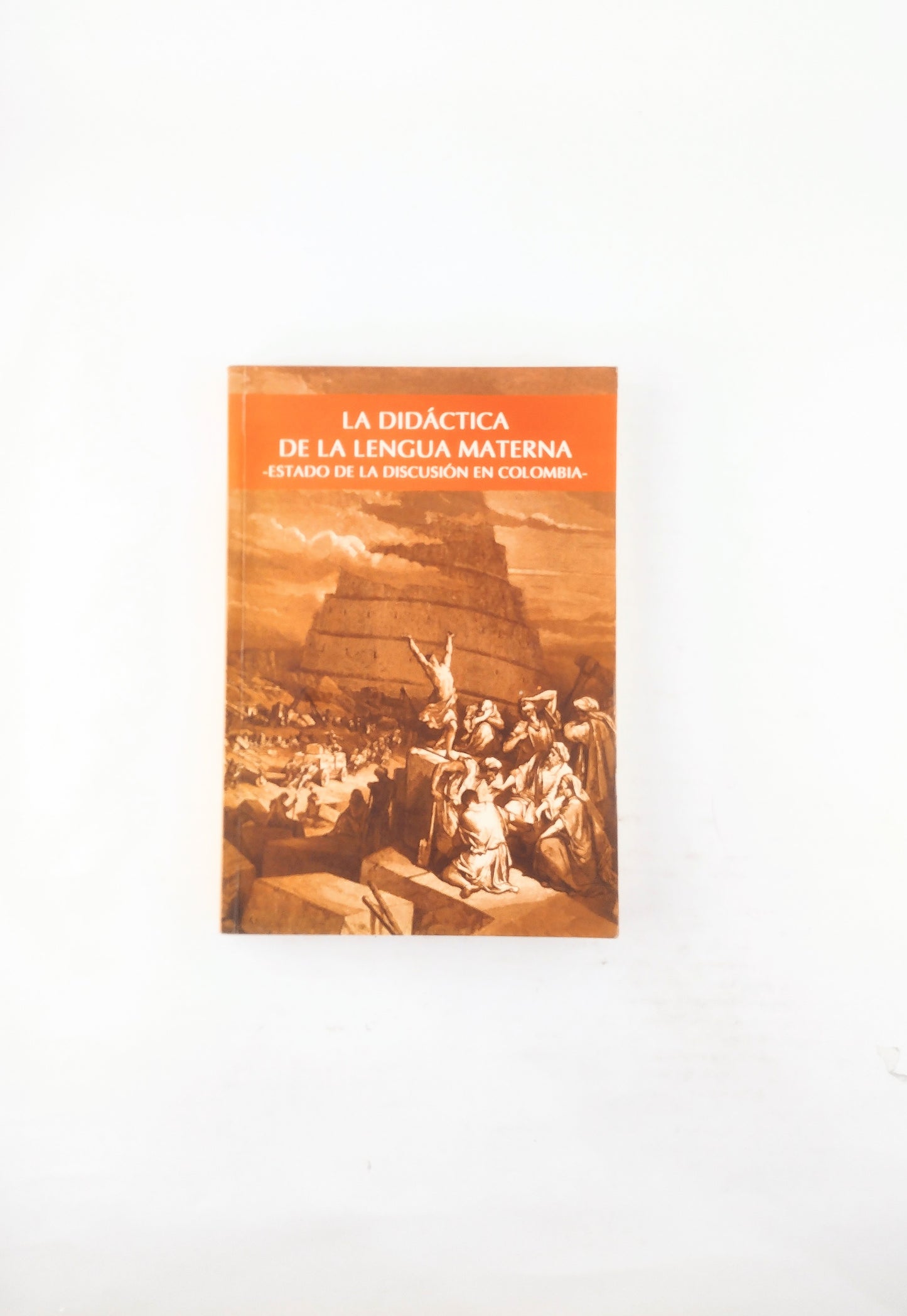 La didáctica de la lengua materna -estado de la discusión en Colombia-