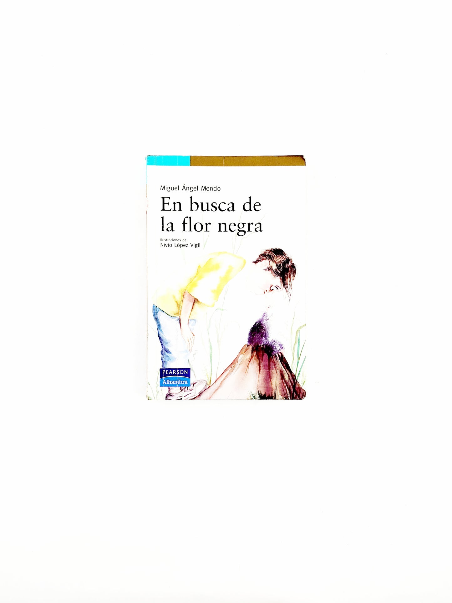 En busca de la flor negra