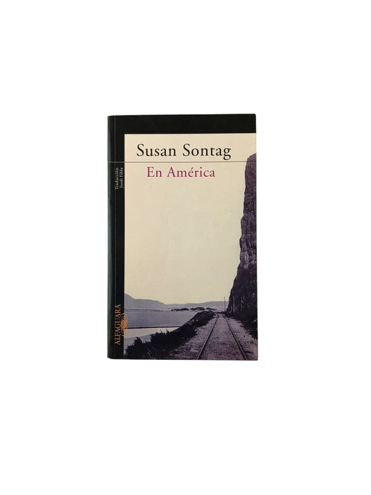En América by Susan Sontag