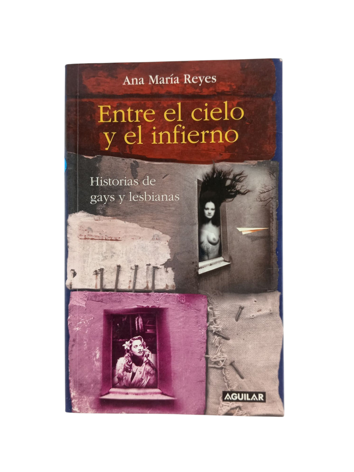 Entre el cielo y el infierno by Ana María Reyes