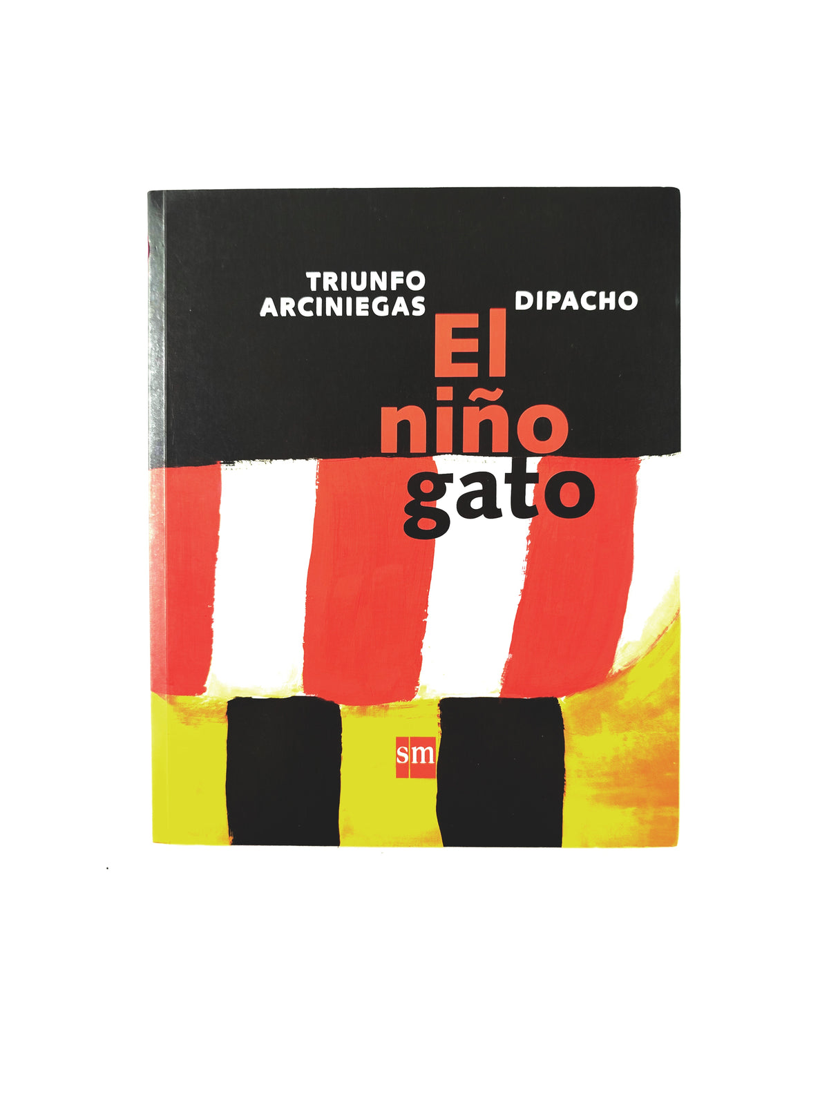 El niño gato by Triunfo Arciniegas