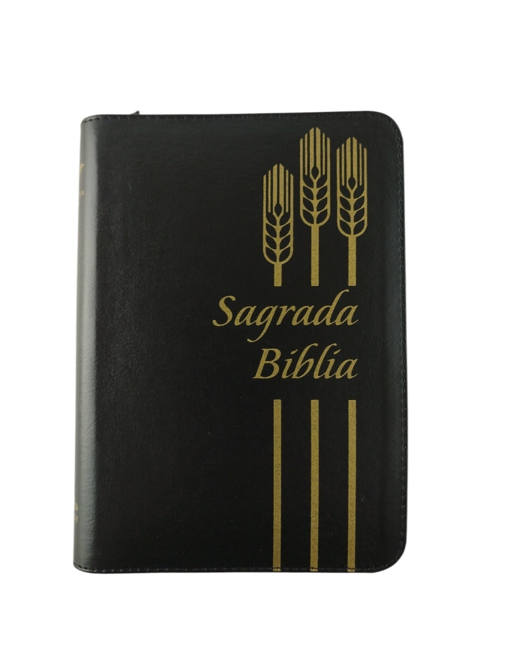 Biblia Dios habla hoy negra letra grande by Reina valera 1960