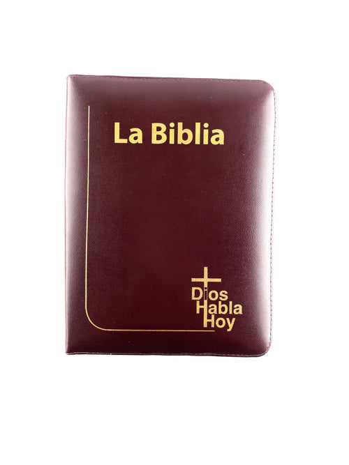 Biblia Dios Habla Hoy Letra Gigante Vinotinto by Varios