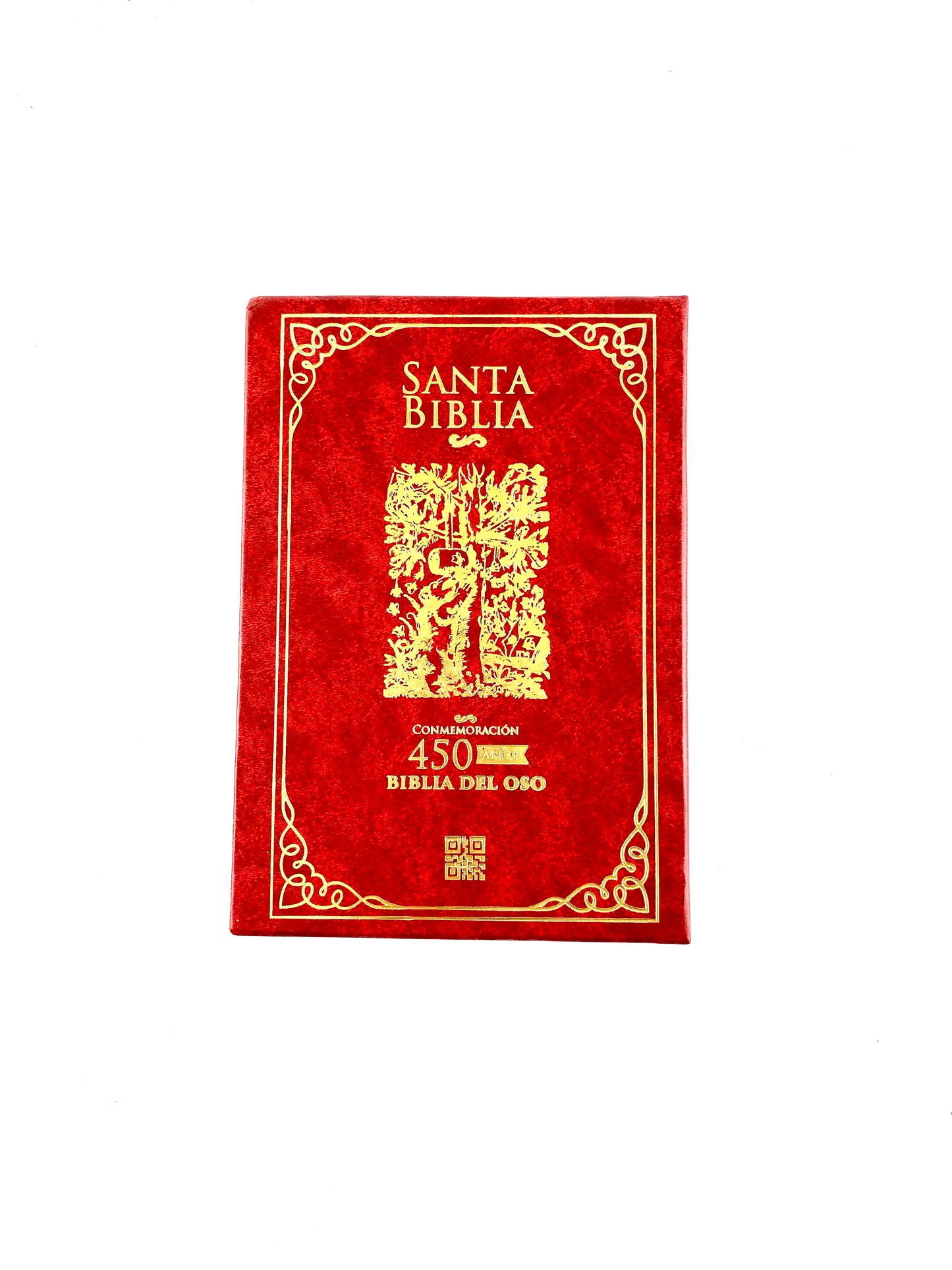 Santa biblia del oso conmemoración caja