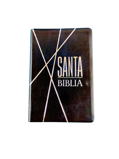 Biblia rvr 1960 tipo agenda negro línea plateada by Reina Valera 1960