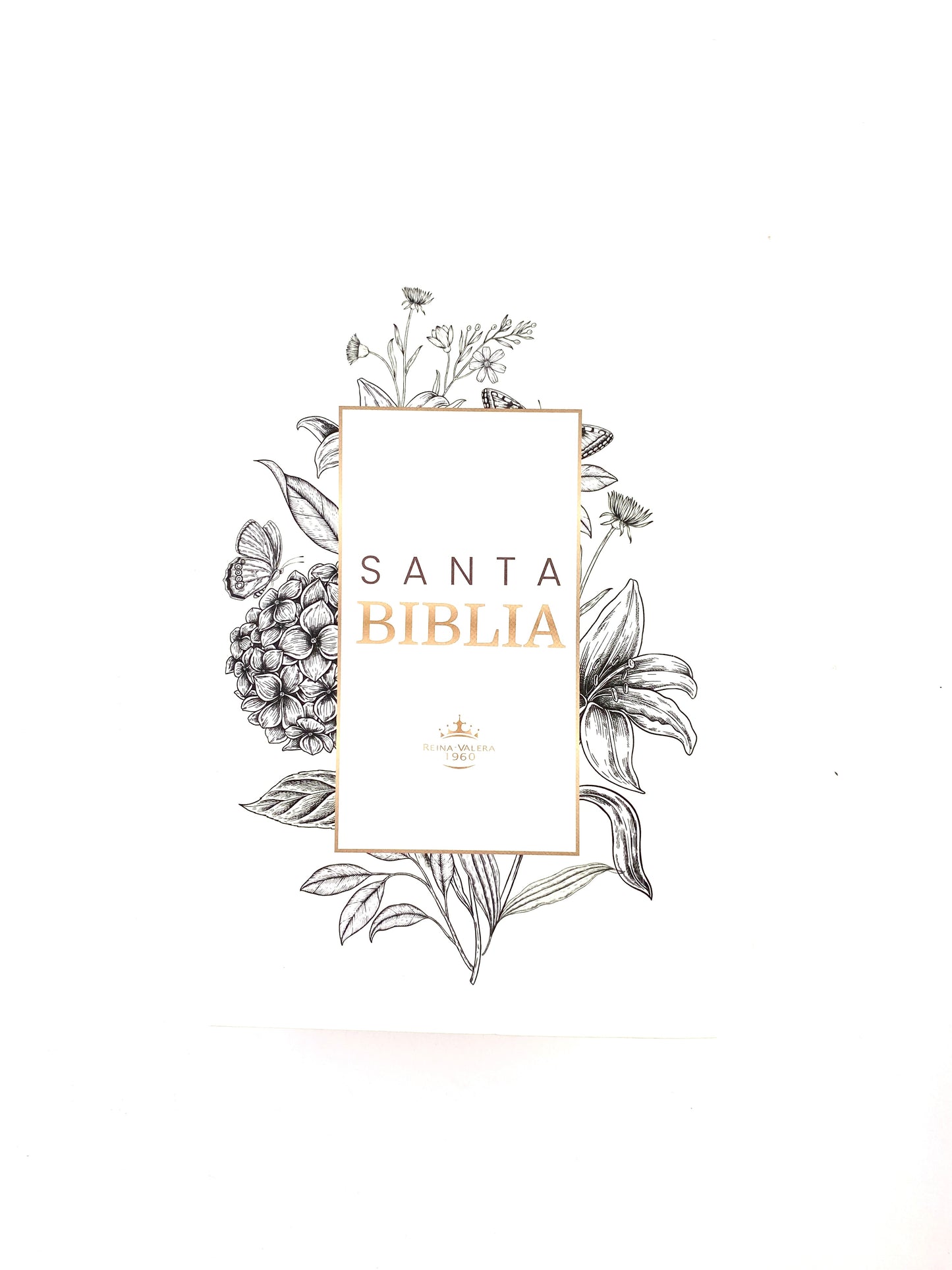 Biblia rvr 1960 letra gigante tapa dura blanca