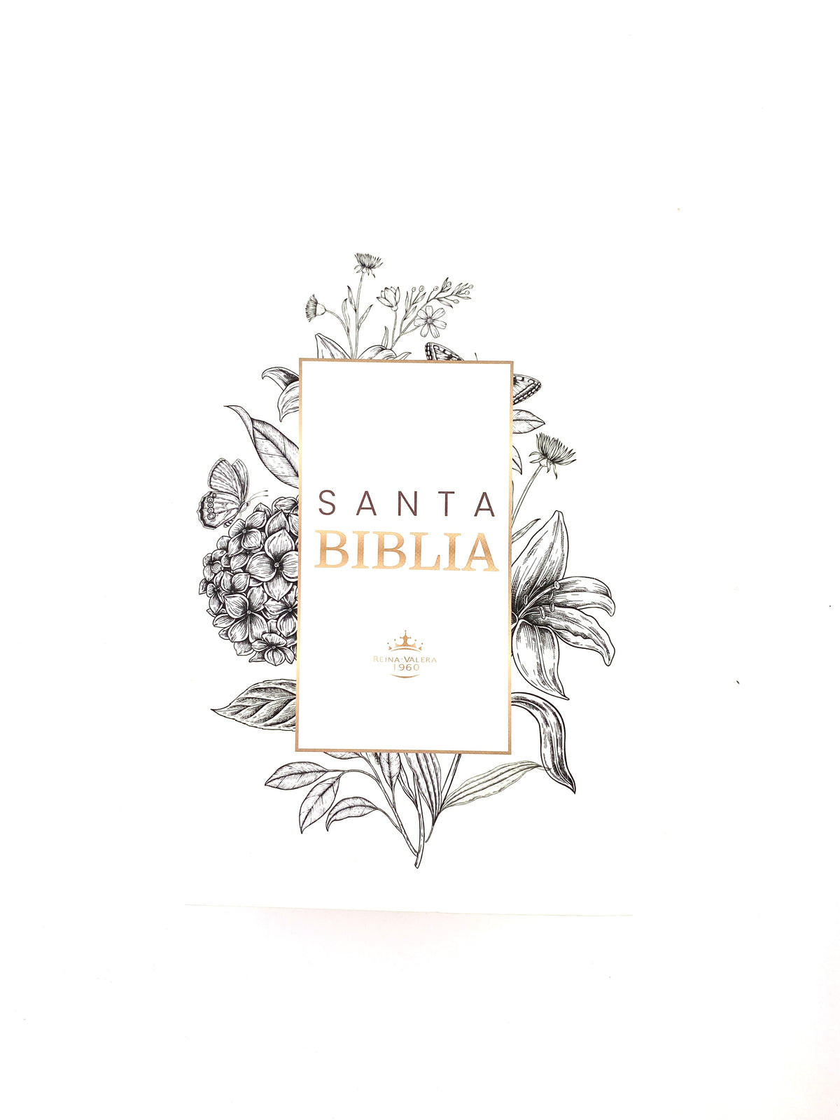 Biblia rvr 1960 letra gigante tapa dura blanca by Reina Valera 1960