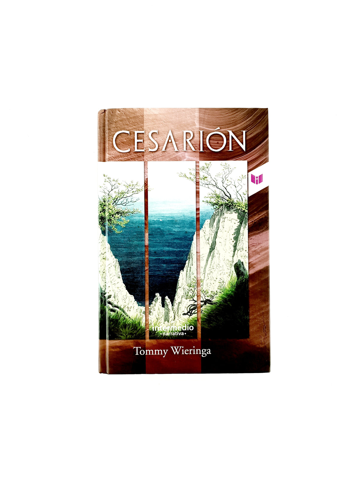 Cesarión by Tommy Wieringa