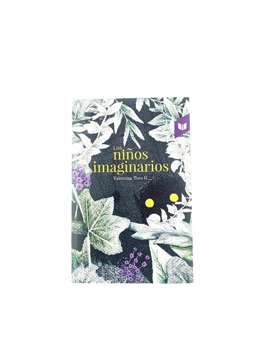 Los niños imaginarios