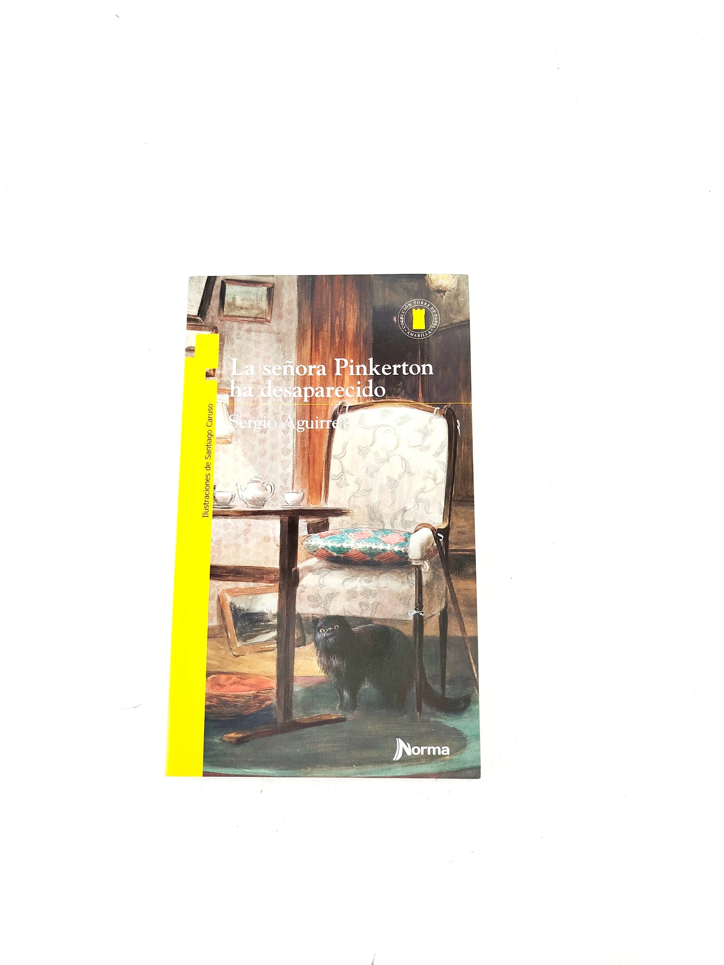 La señora Pinkerton ha desaparecido libro