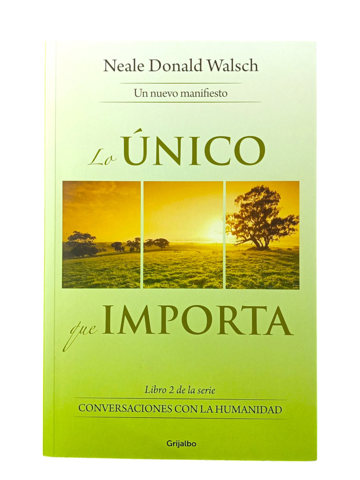 Lo Único Que Importa by Neale Donald Walsch