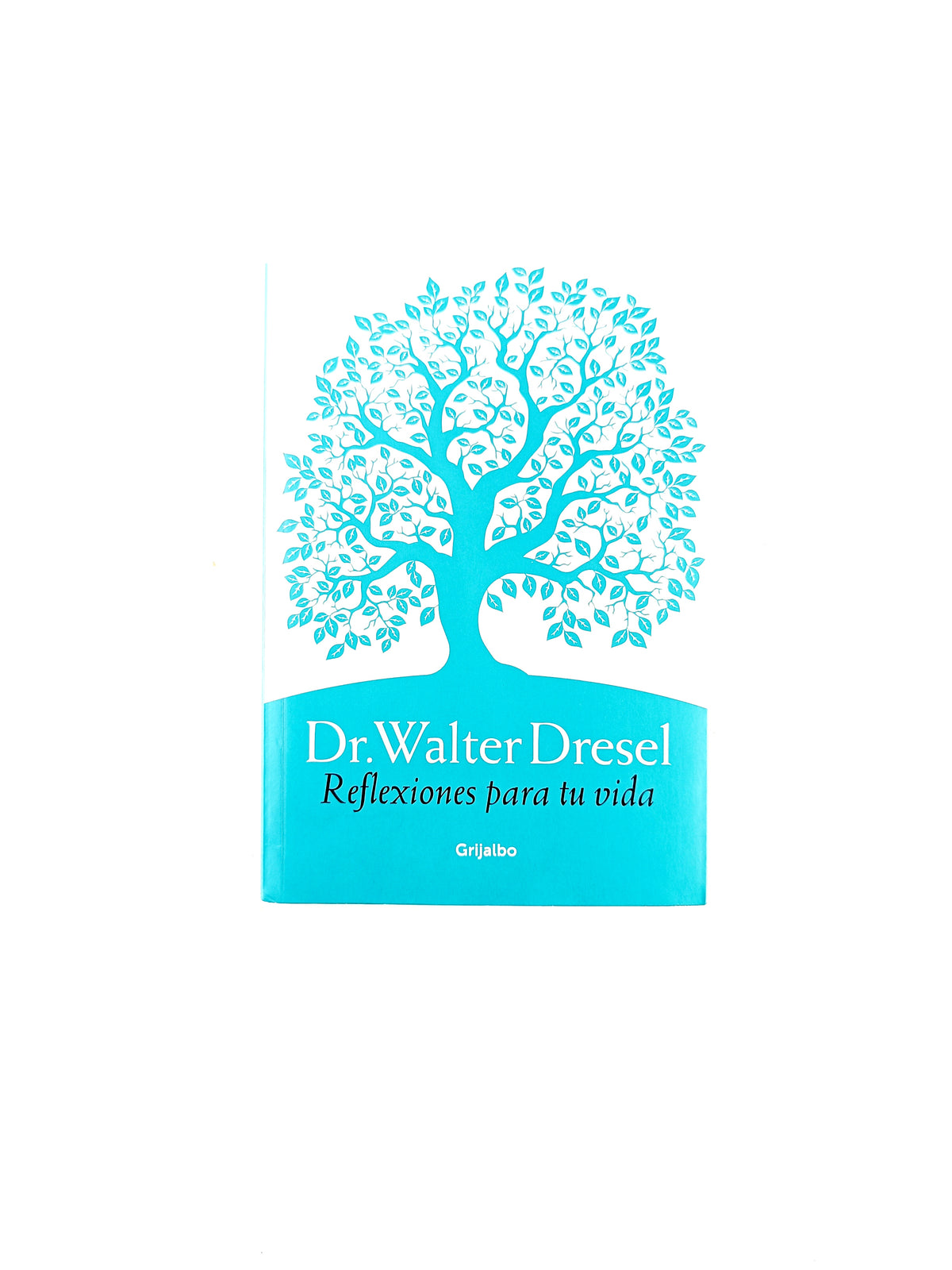 Reflexiones para tu vida by DR. Walter Dresel