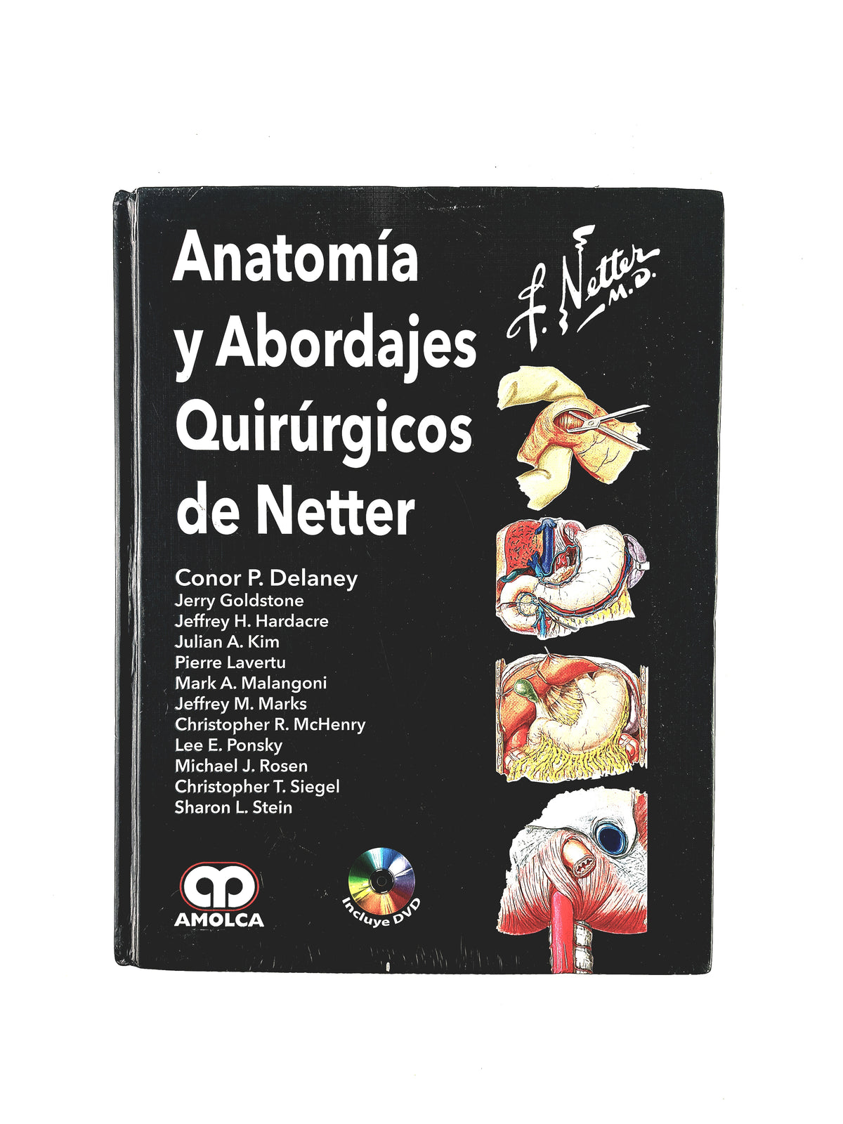 Anatomía y Abordajes Quirúrgicos de Netter by Conor P. Delaney Jerry Goldstone Jeffrey H. Hardacre.