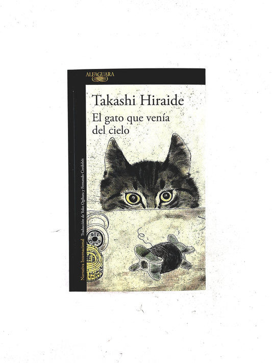 El gato que venía del cielo