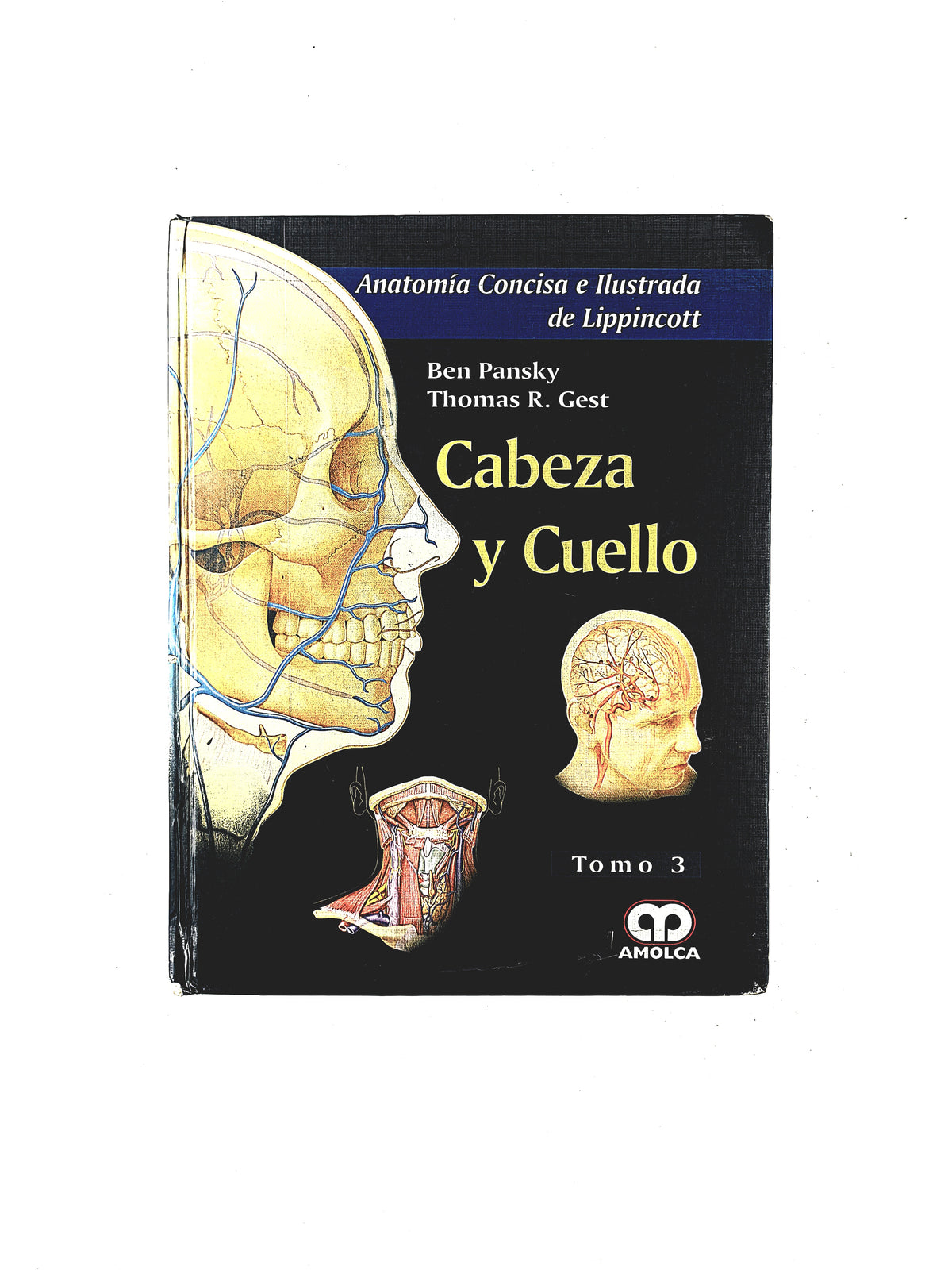 Anatomía concisa e ilustrada de Lippincott Cabeza y Cuello volumen 3 by Ben Pansky Thomas R. Gest