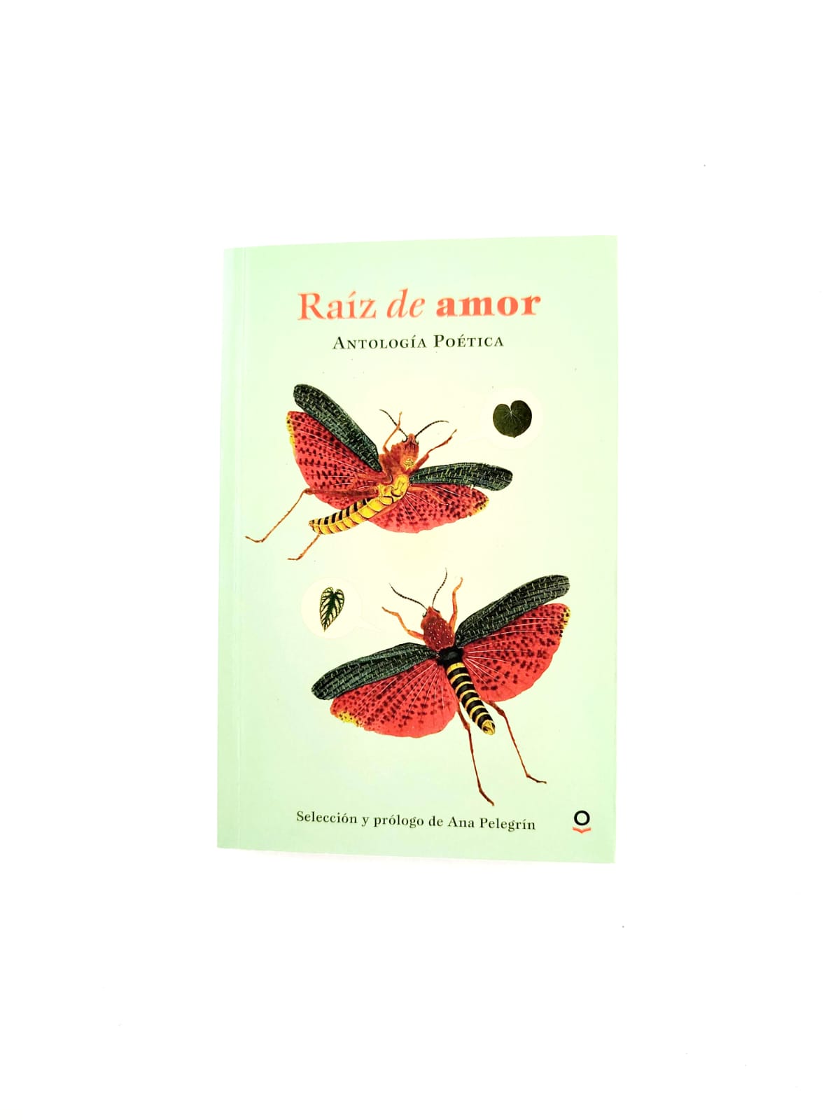 Raíz de amor: antología poética by Ana Pelegrín