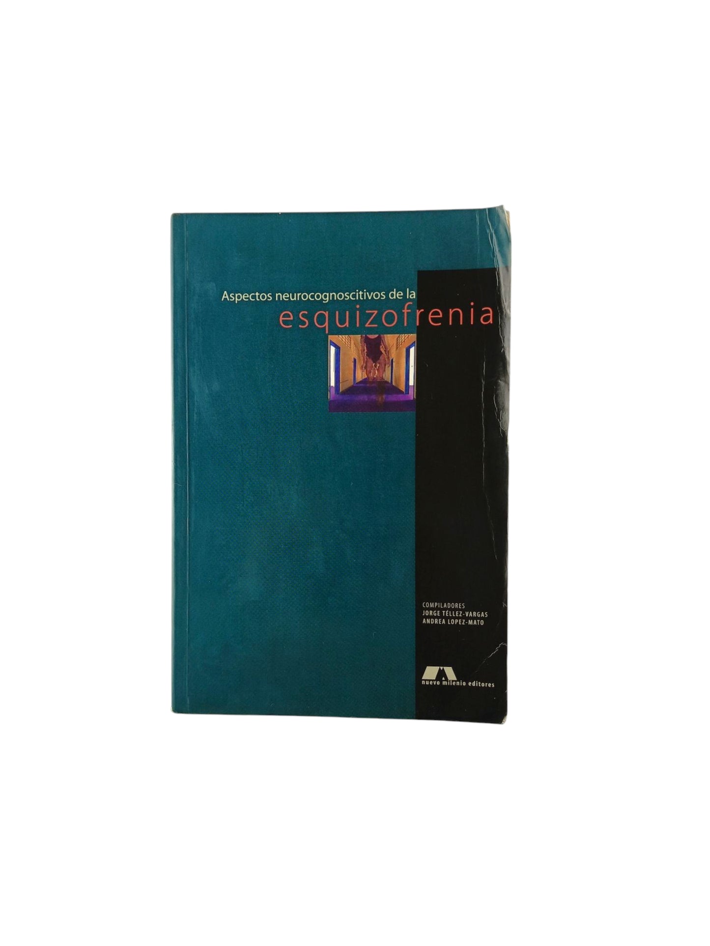 Aspectos Neurocognoscitivos De La Esquizofrenia