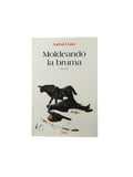 Moldeando la bruma by Aníbal Llano