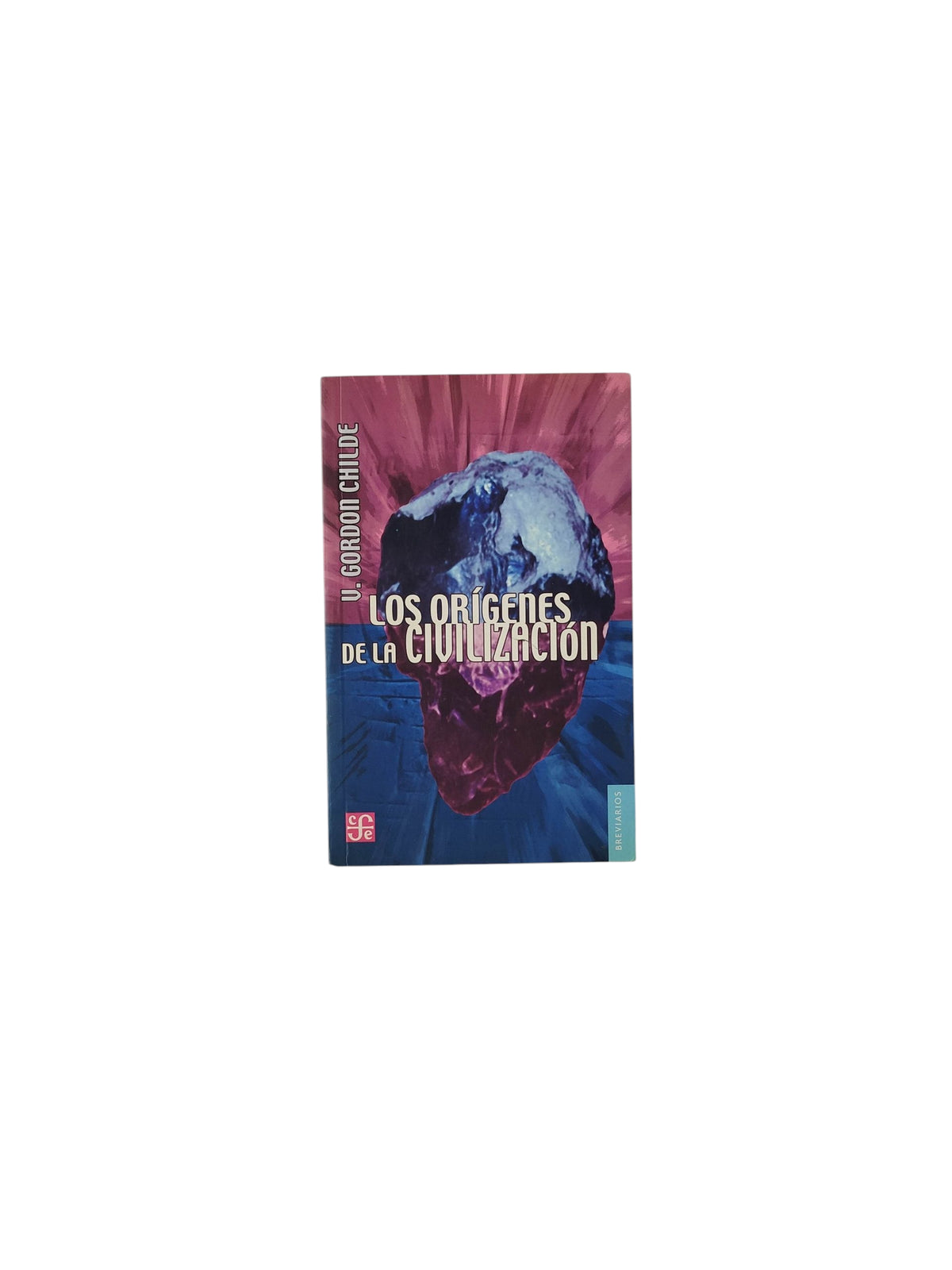 Los orígenes de la civilización by V Gordon Childe