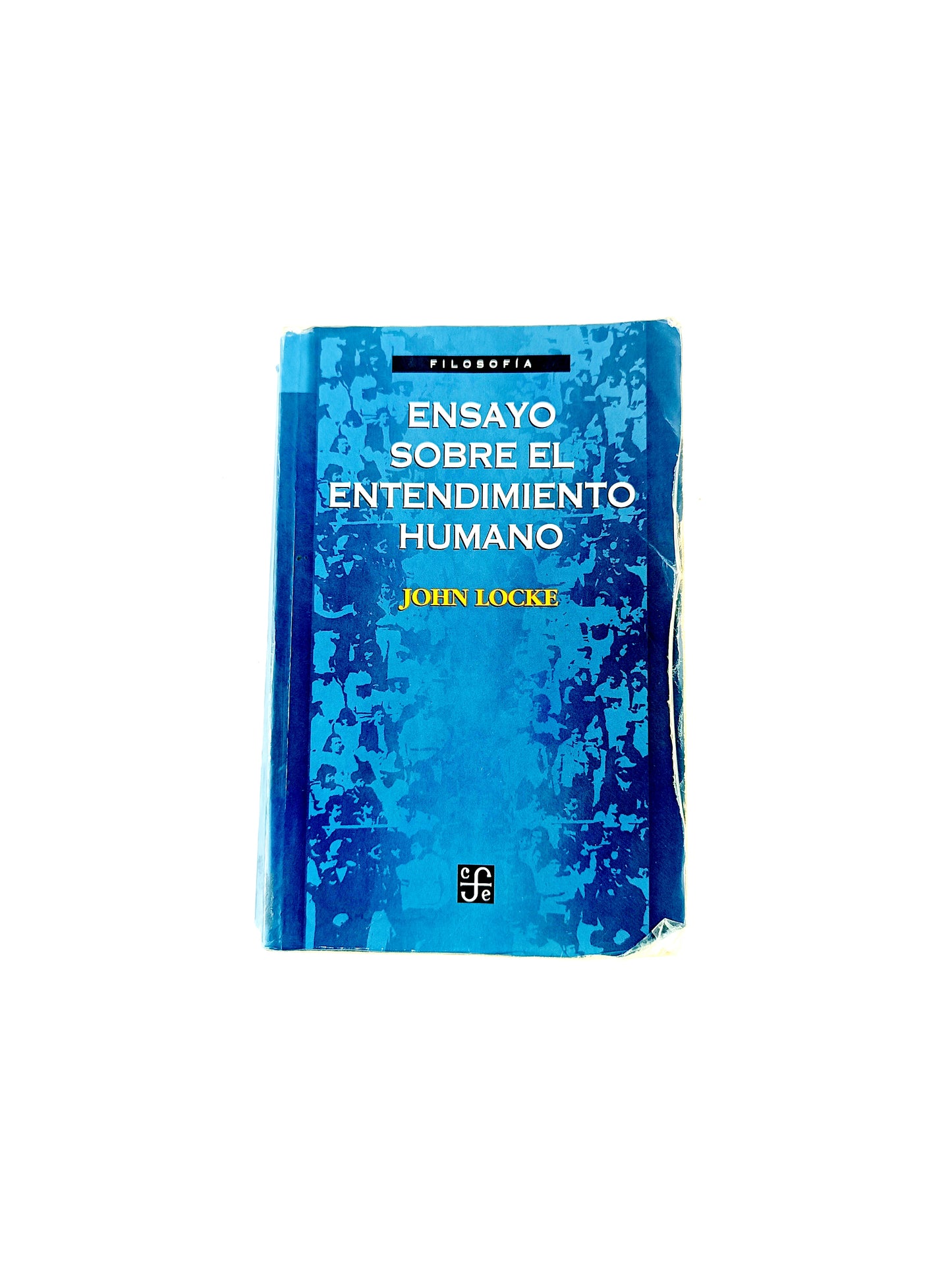 Ensayo sobre el entendimiento humano