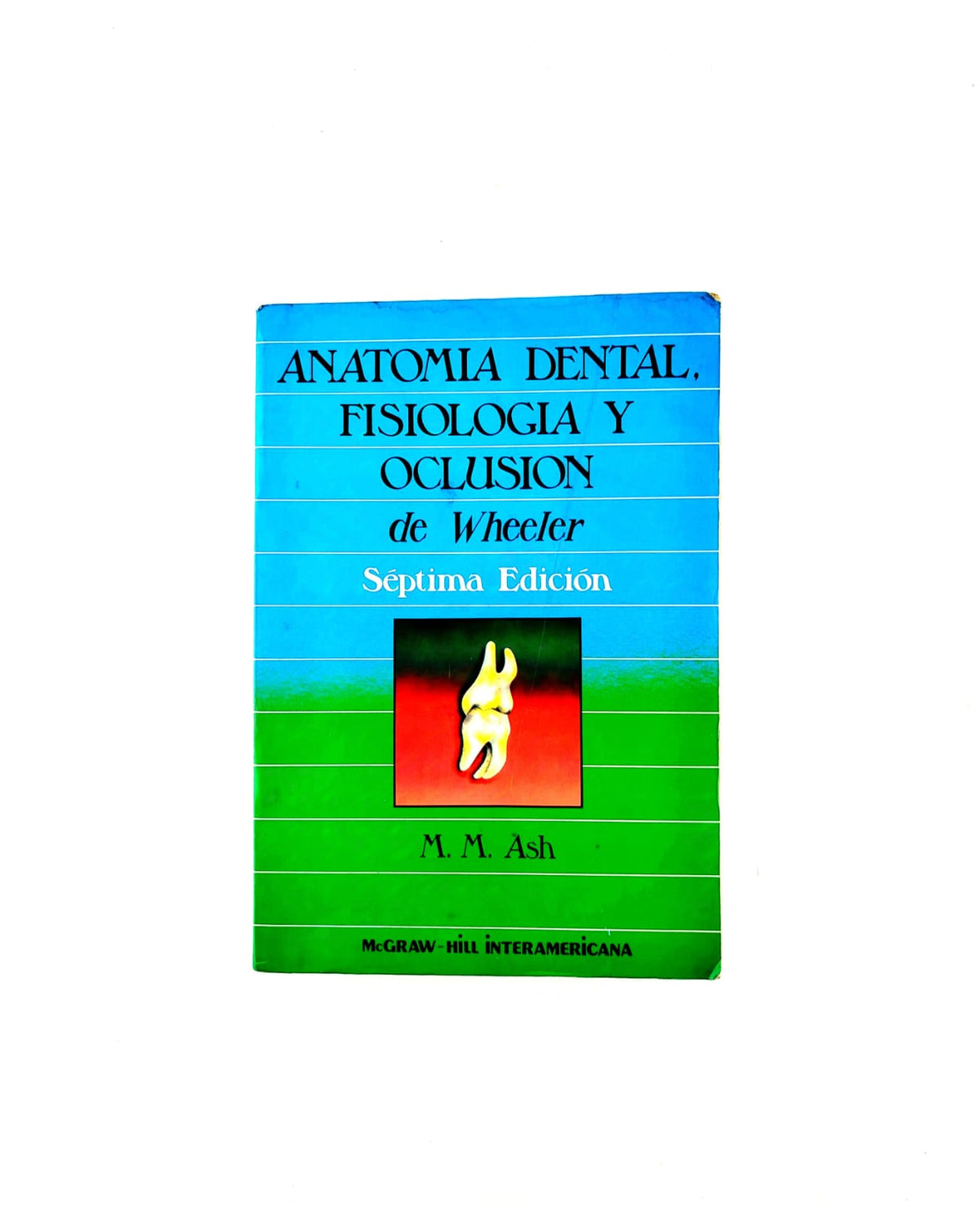 Anatomía dental, fisiología y oclusión de Wheeler Séptima edición by M M Ash