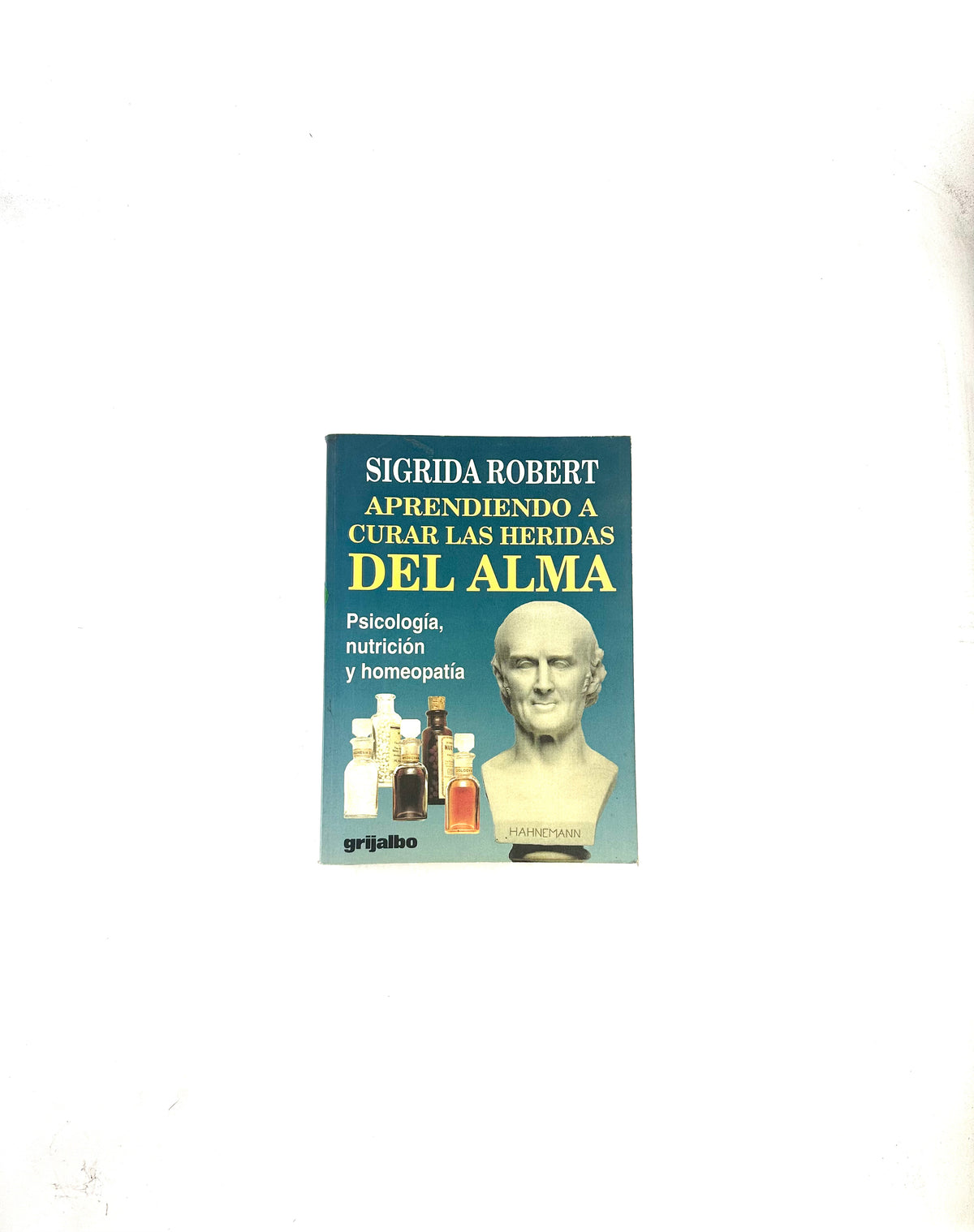 Aprendiendo a curar las heridas del alma by Sigrida Robert