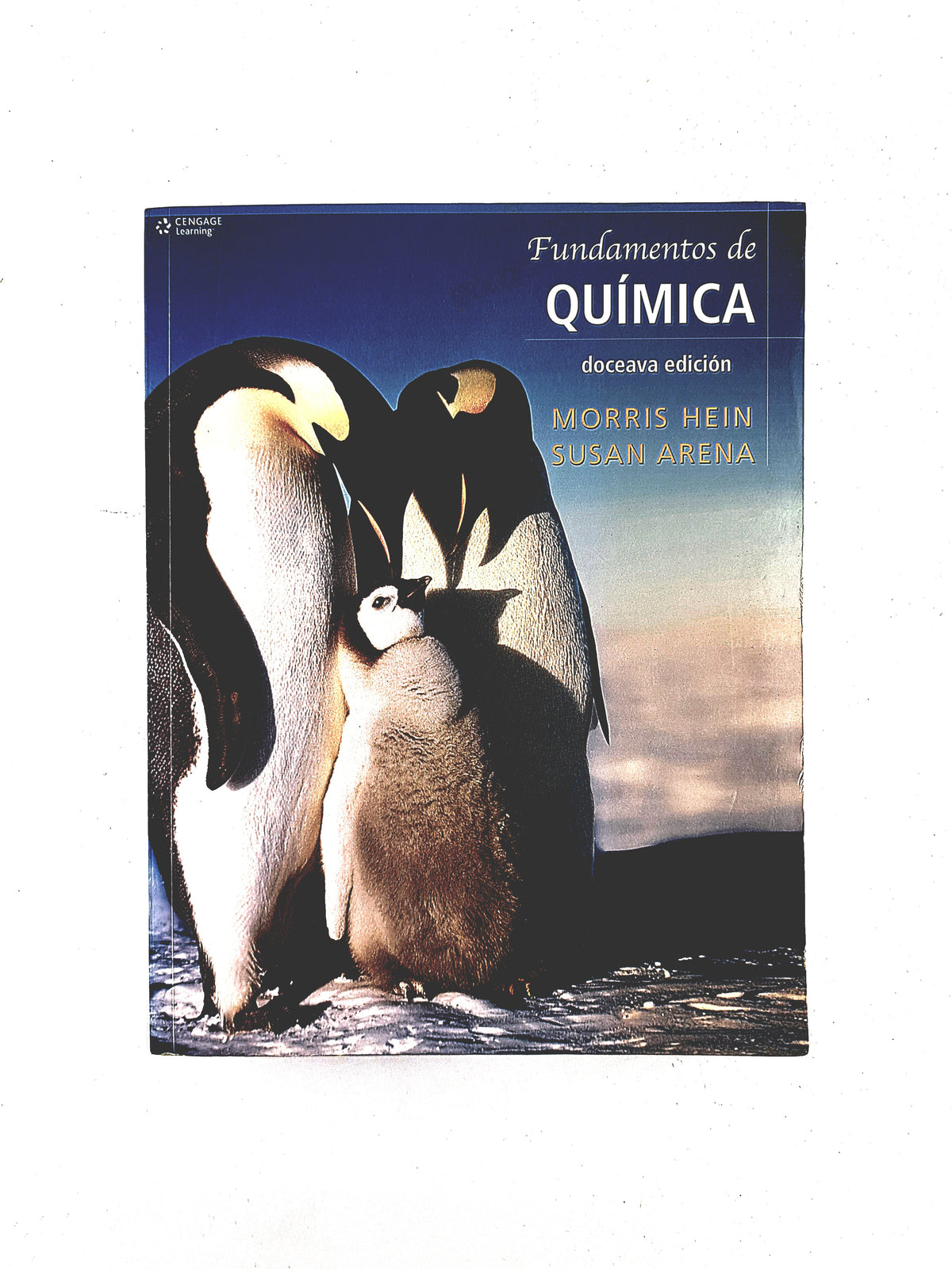 Fundamentos de química doceava edición by Morris Hein Susan Arena