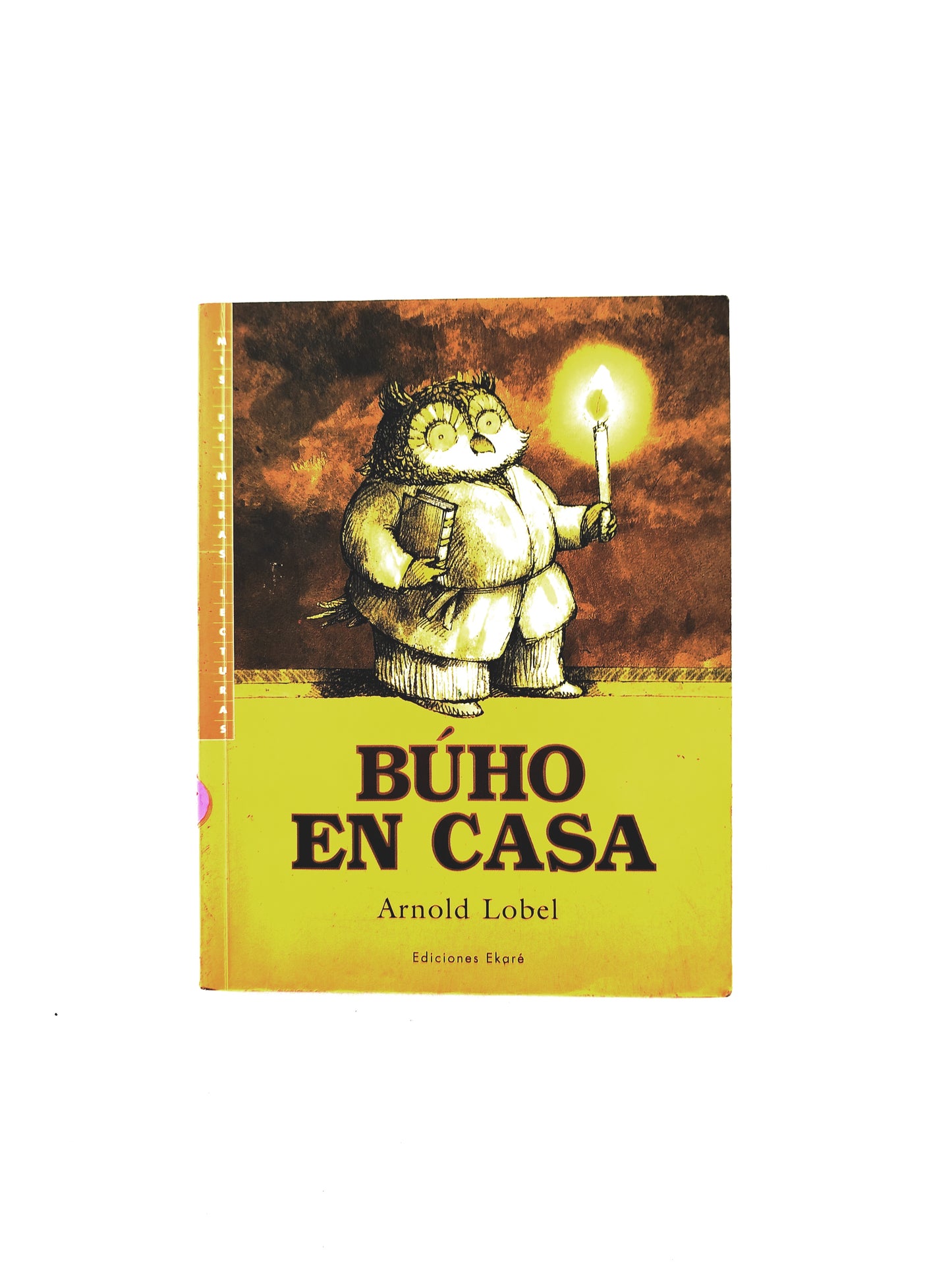 Búho en casa