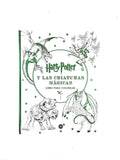 Harry Potter y las criaturas mágicas libro para colorear by Varios