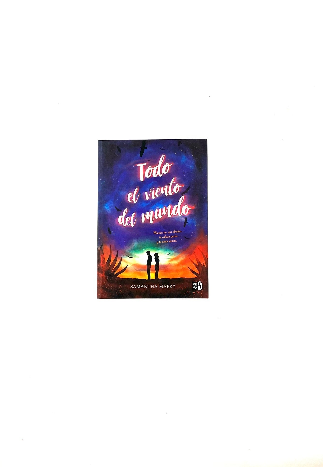 Todo el viento del mundo