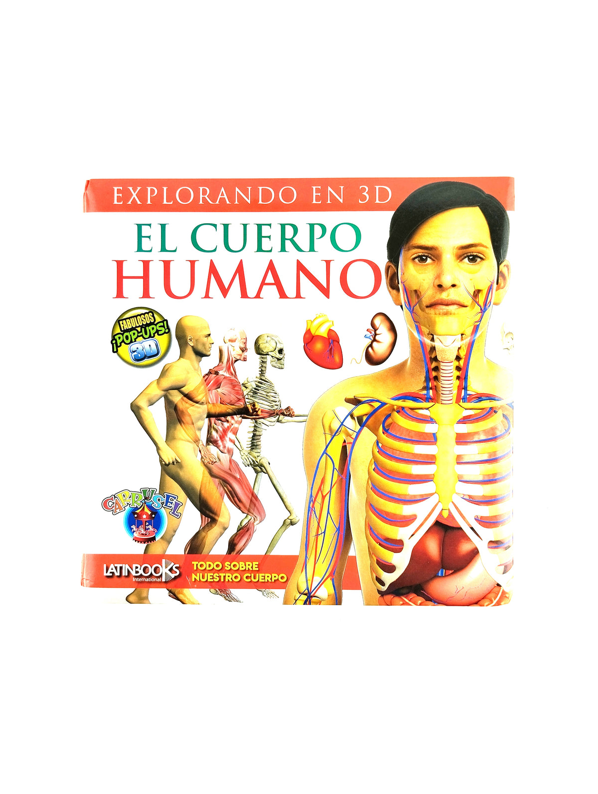 El cuerpo humano en 3D by sin autor