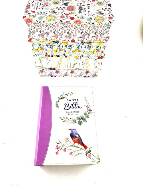Biblia rvr 1960 colección primaveral letra grande lila sin cierre by Reina Valera 1960